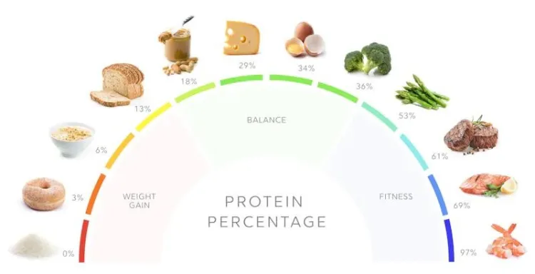 Vai trò của protein