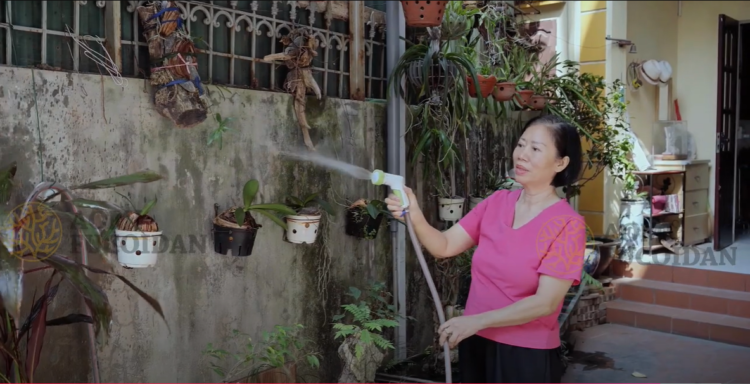 cô Tuyến quay trở lại cuộc sống hàng ngày