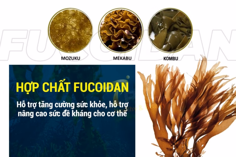 Fucoidan